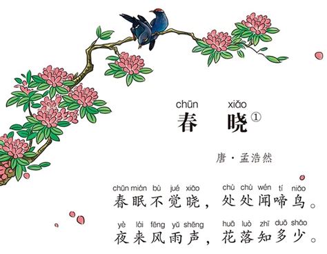 花落相知|“夜来风雨声 花落知多少 ”全诗,翻译,意思,上一句和下一句